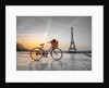 Bicycle and Eiffel tower by Assaf Frank